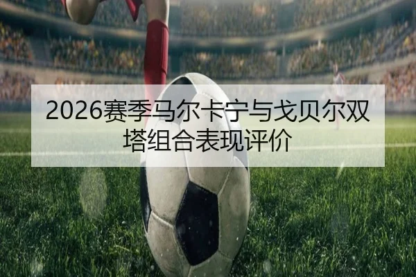 2026赛季马尔卡宁与戈贝尔双塔组合表现评价
